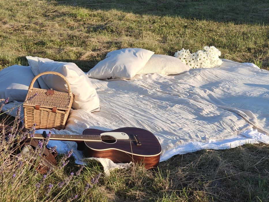Gitara akustyczna gretsch Jim dandy folk parlor