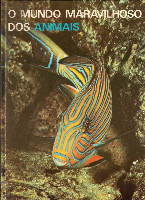 O Mundo Maravilhoso Dos Animais (6 Volumes)