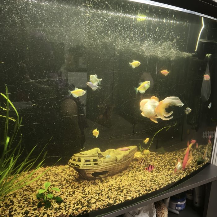 Продам аквариум на 200 литров