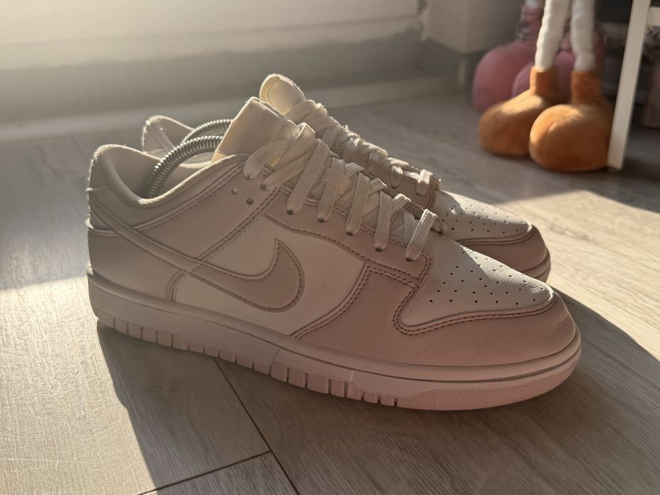 Nike dunk low venice