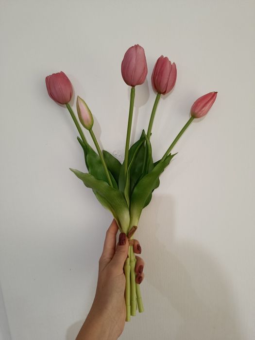 Гелеві рожеві тюльпани