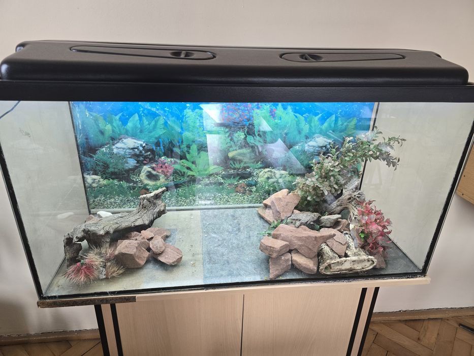 Akwarium 200l + szafka