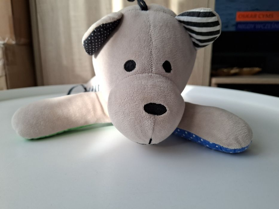 Miś whisbear szumiś
