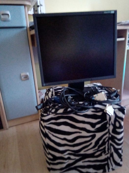 monitor eizo flexscan s1910