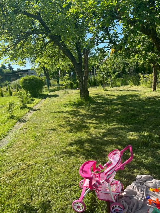 Działka ROD ,, Pod lipami,, Krzesiny