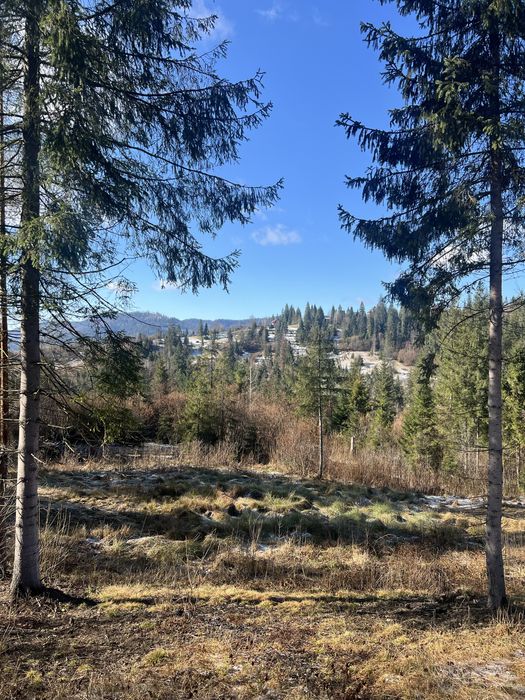 Продам земельну ділянку Слаське 25 сотих під будівництво