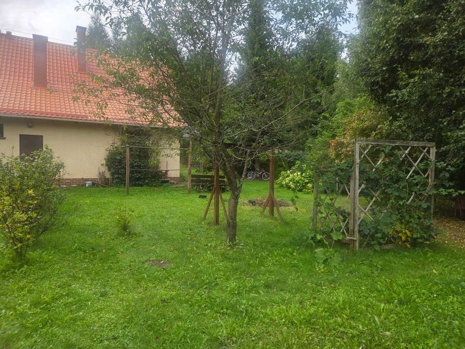 Zdjęcie 6