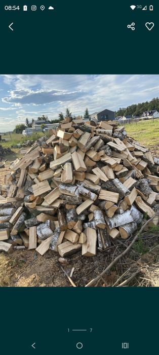 Sucha sosna polupana