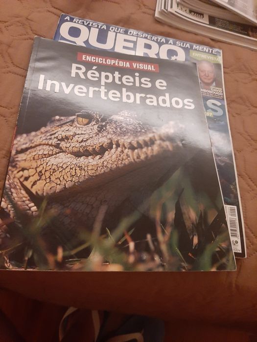 Enciclopedia repteis invertebrados