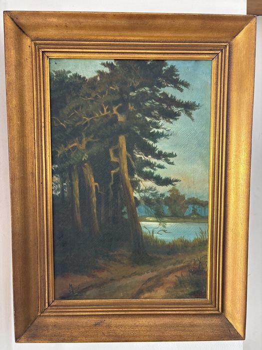 Quadro Antigo a Óleo – Paisagem Natural – 40x60 cm