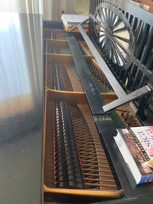 Piano Bechstein bem tratado