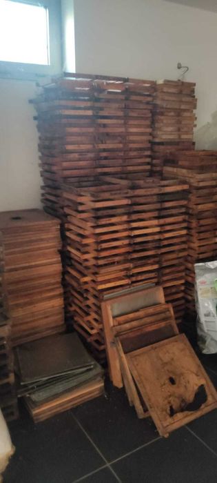 Colmeia Núcleo Lusitano e Reversível s/ Cera