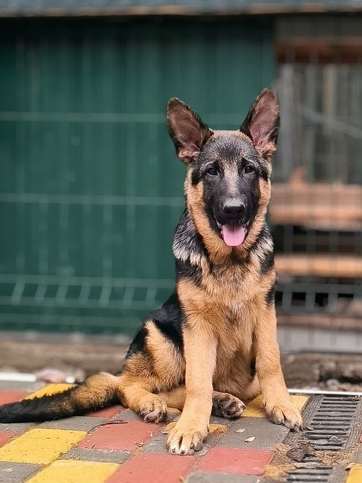 Девочка. КСУ, 4 месяца