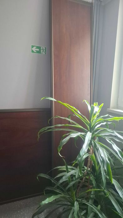 oddam za darmo drzwi od szafy typu komandor