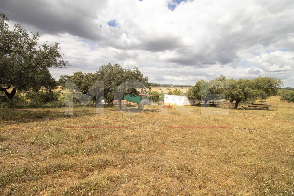 Herdade em Alvito - a 50 min Alqueva