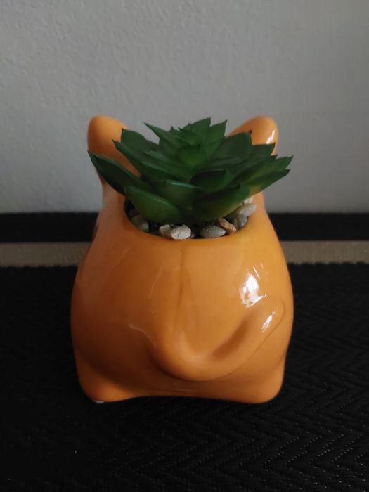 Figurka piesek z doniczką dekoracja z sukulentem idealna na prezent