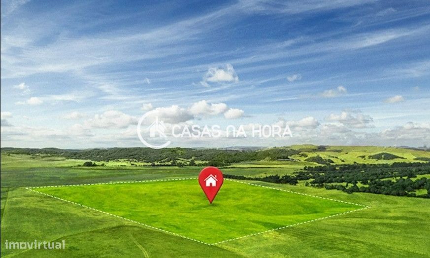 Land Plot | Pine Forest | Bouça