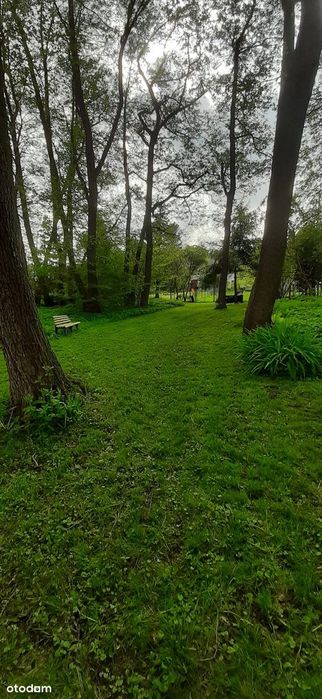 Dom – Żelewo - Widok 3