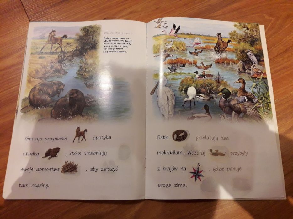 książeczka, wierszyki, czytanie