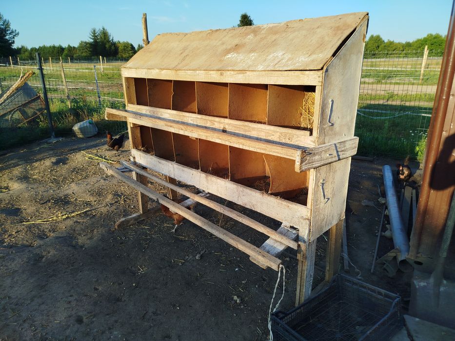 Gniazda dla kur tanio