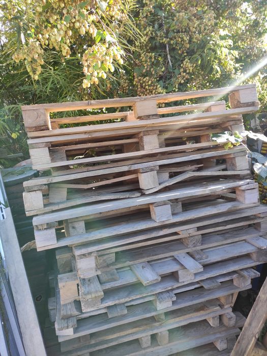 Palety jasne jednorazowe / max / amerykanki