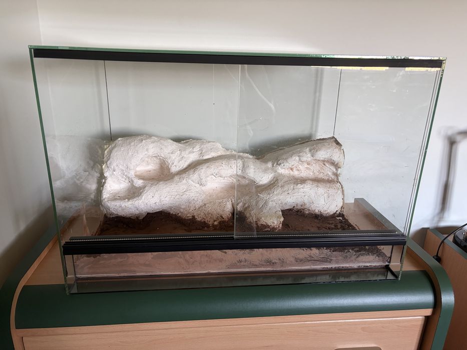 Terrarium ze ścianką