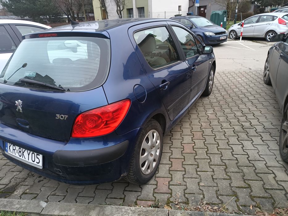 Peugeot 307 1.6 16 v