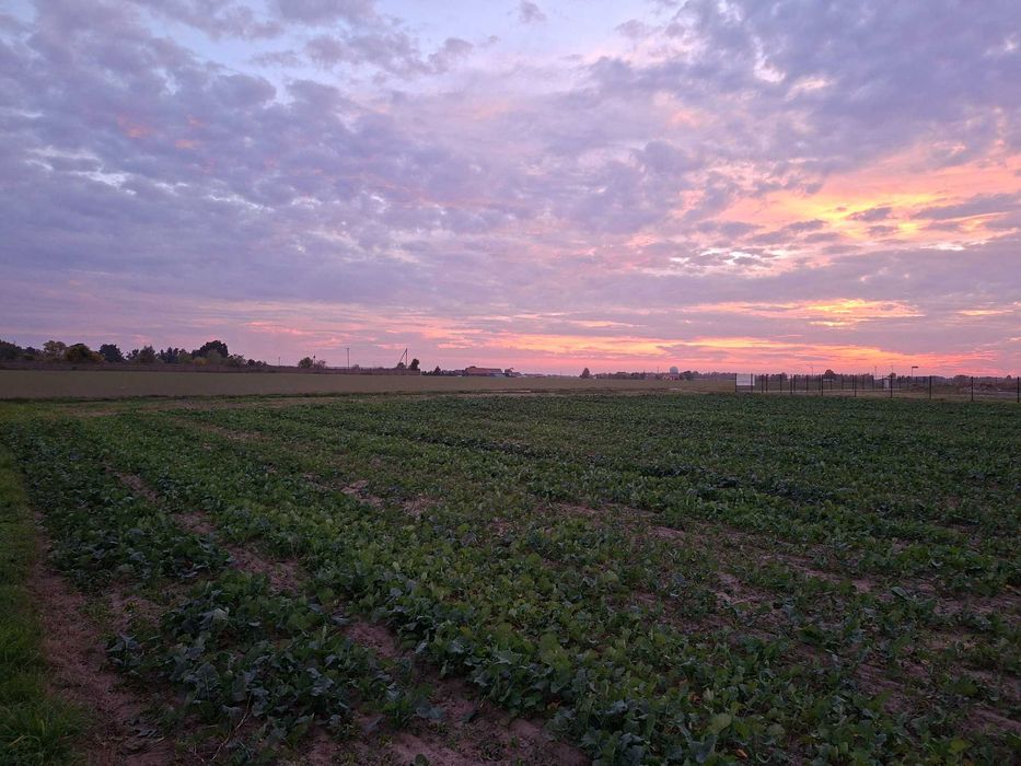 Sprzedam działkę budowlaną z WZ-bezterminowym Wronowice ul.Urocza 1200 m² pod lasem - Widok 5