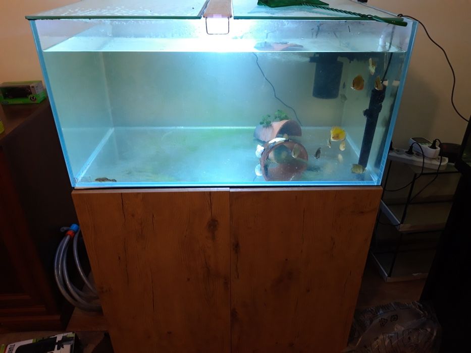 Akwarium 243 L optiwhite  aquael