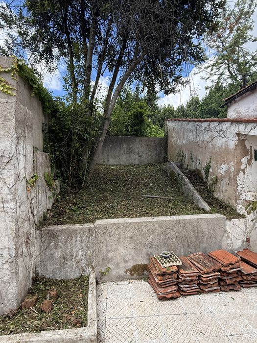 Limpeza de terrenos