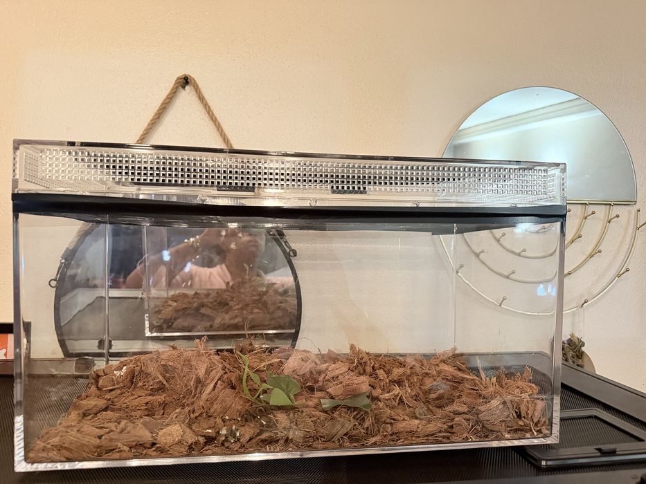 Vendo Terrario novo