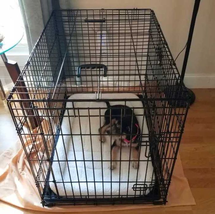 klatka dla psa metalowa kennelowa składana 77cm transporter kojec