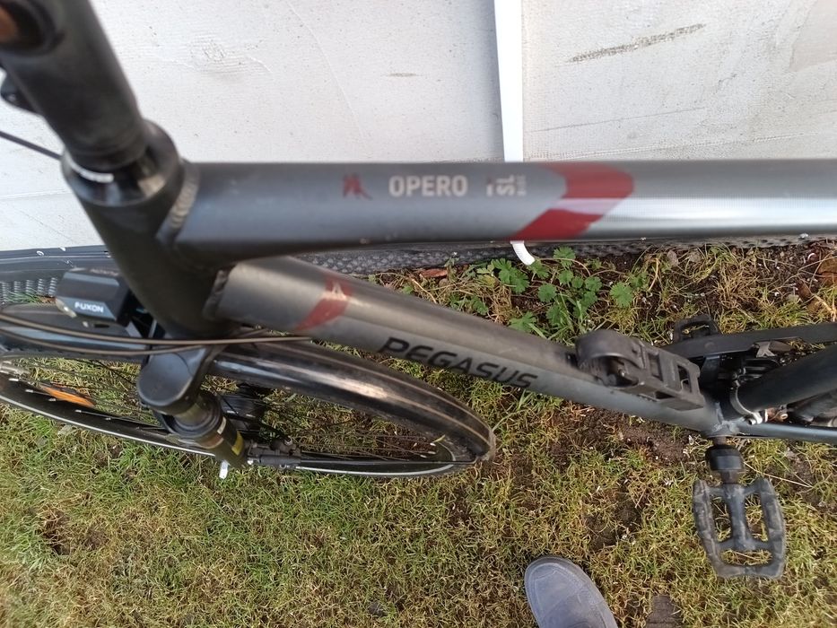 Rower Pegasus Opero