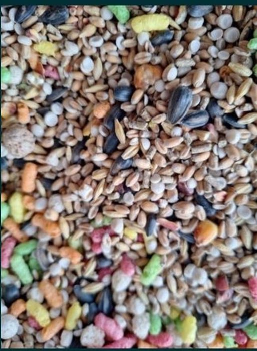 Pokarm podstawowy dla królika I gryzonia 10 kg