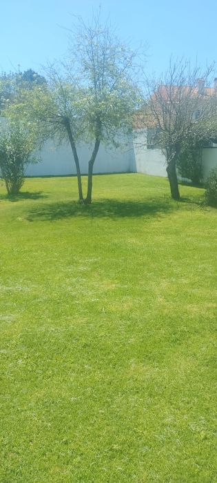 Montador de móvel jardineiro ou pintor