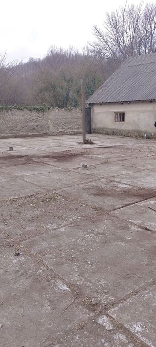 Ферма, корівник (колишній телятник)