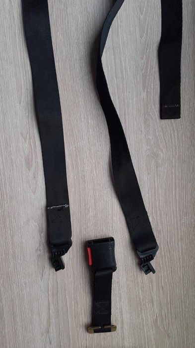 Cintos segurança para ovinho