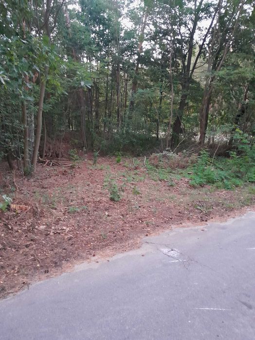 Sprzedam  działkę w miejscowości Nowa Wieś Śladów 1,18 ha