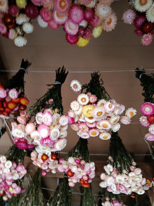 Suszone kwiaty kocanki bukiety