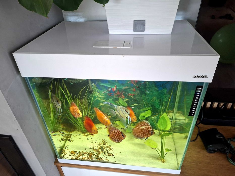 Akwarium opti set 130