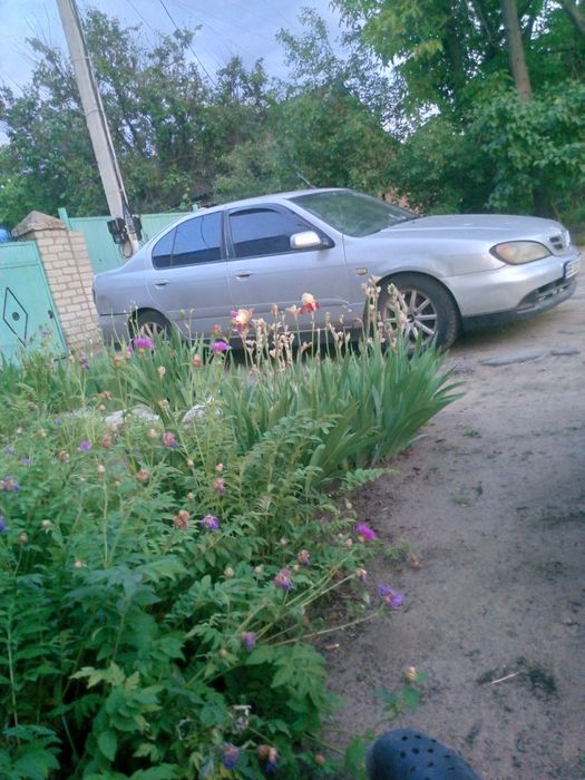 Продам nissan primera