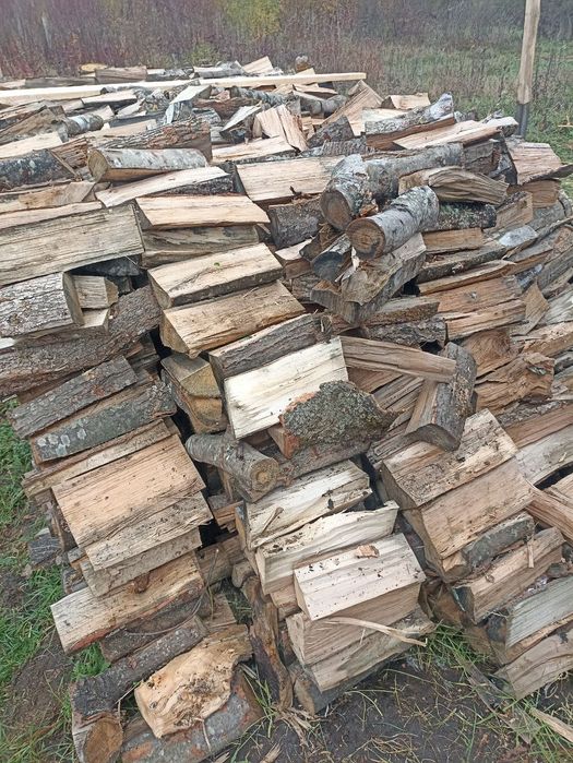 Продаємо ДРОВА гуртом та роздріб. Криве Озеро