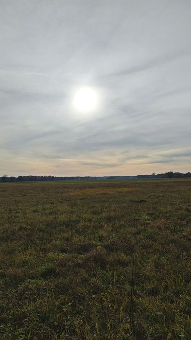 Działka budowlana Jaźwiny k. Trzebnicy | Blisko lasu