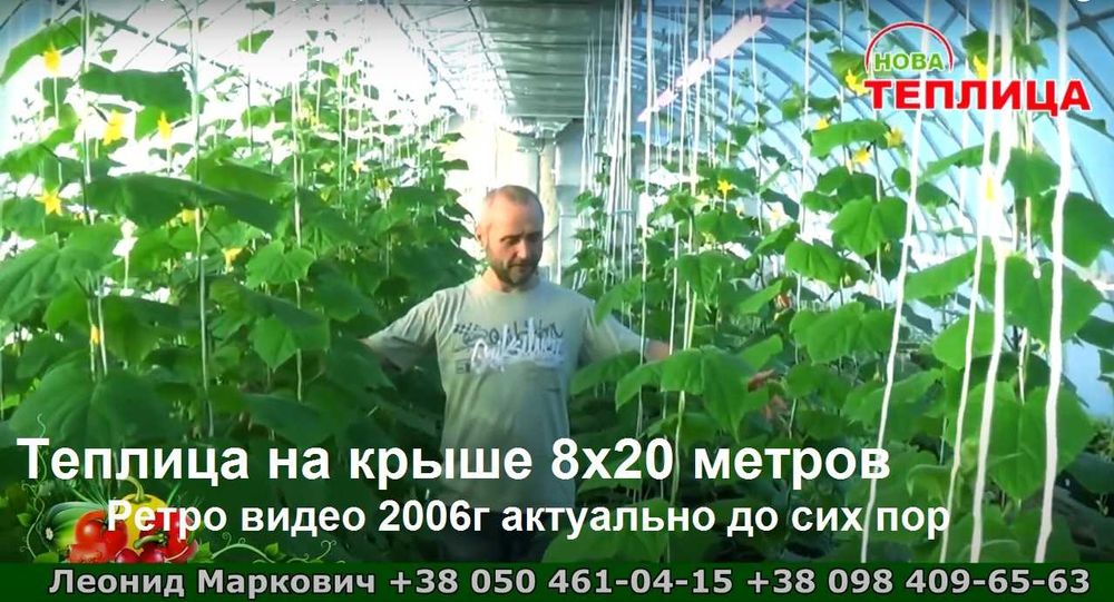 Теплиці від виробника з міцним каркасом