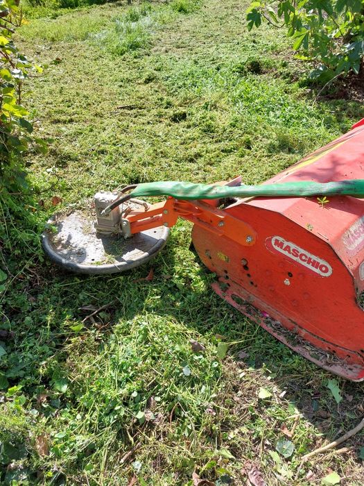 Limpeza de terrenos, corte, manutenção