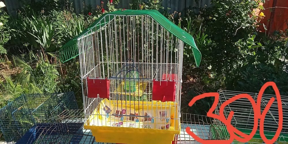 Б.у. клкткиЦЕНЫНАФОТО!!!