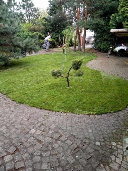 Usługi ogrodnicze Zakładanie Ogrodów Wywóz Gruzu ziemi Usługi Glebogry