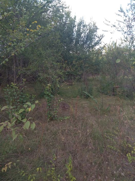 Дачный участок Григорьевка