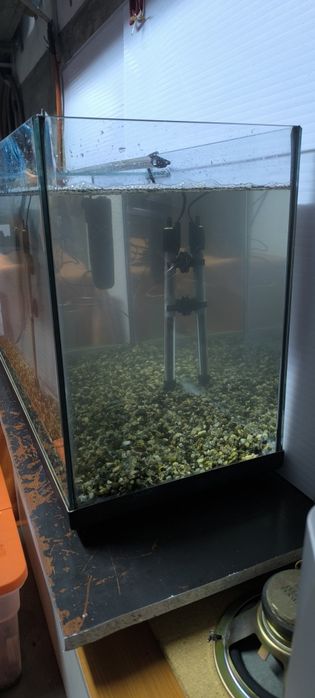 Aquário 100 Litros ( 80x30x45 ) Para Despachar