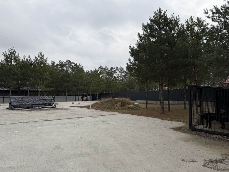 Продам будинок з ремонтом 100 м2 з фундаментом під основний дім 323 м2, ділянка 25 соток в сосновому лісі с. Бобриця. Без комісії!